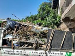 Trusted La Grulla, TX Junk Removal Services Experts